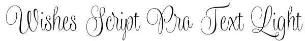 Wishes Script Pro Text Light Font