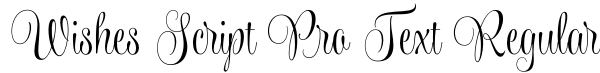 Wishes Script Pro Text Regular Font