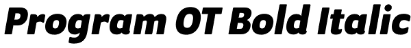 Program OT Bold Italic Font