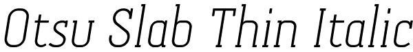Otsu Slab Thin Italic Font