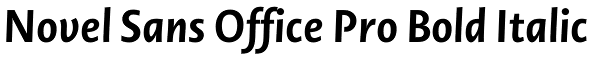 Novel Sans Office Pro Bold Italic Font