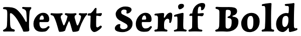 Newt Serif Bold Font