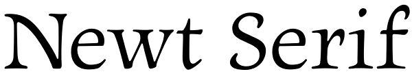 Newt Serif Font