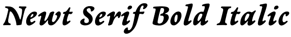 Newt Serif Bold Italic Font