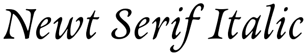 Newt Serif Italic Font