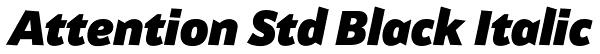 Attention Std Black Italic Font