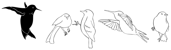 Birds Font
