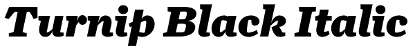 Turnip Black Italic Font