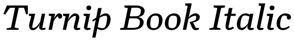 Turnip Book Italic Font