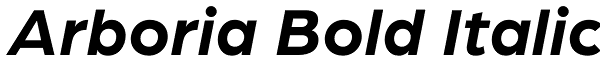 Arboria Bold Italic Font