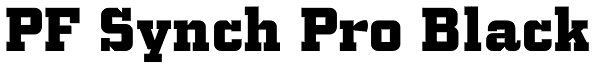 PF Synch Pro Black Font