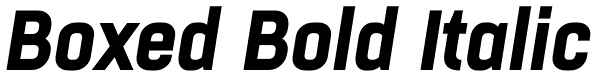 Boxed Bold Italic Font