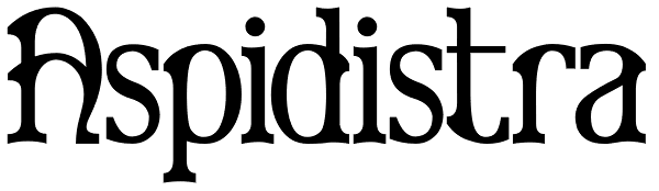 Aspidistra Font