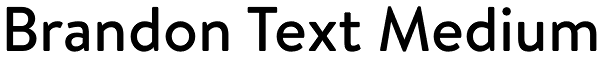 Brandon Text Medium Font