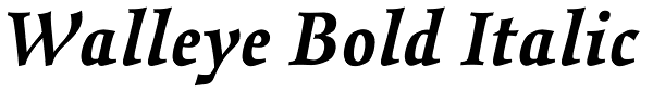 Walleye Bold Italic Font