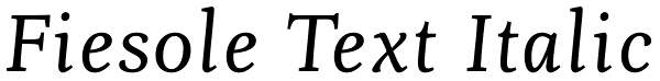 Fiesole Text Italic Font