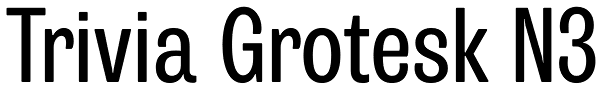 Trivia Grotesk N3 Font