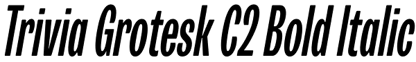 Trivia Grotesk C2 Bold Italic Font