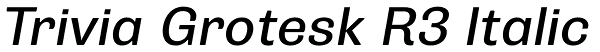 Trivia Grotesk R3 Italic Font