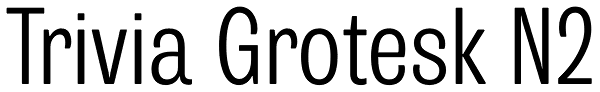 Trivia Grotesk N2 Font