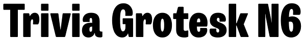 Trivia Grotesk N6 Font