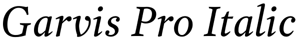 Garvis Pro Italic Font