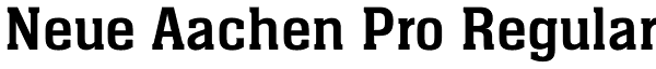 Neue Aachen Pro Regular Font