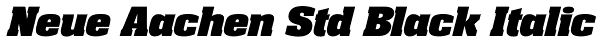 Neue Aachen Std Black Italic Font