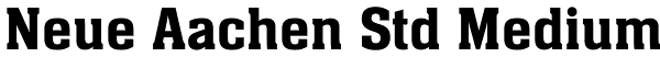 Neue Aachen Std Medium Font