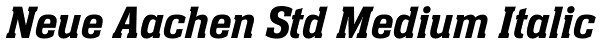 Neue Aachen Std Medium Italic Font