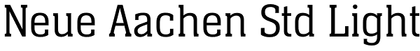 Neue Aachen Std Light Font