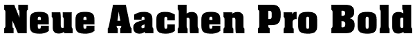 Neue Aachen Pro Bold Font