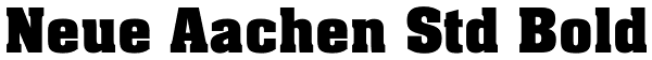 Neue Aachen Std Bold Font