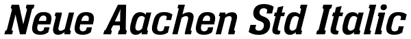 Neue Aachen Std Italic Font