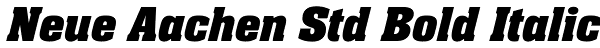 Neue Aachen Std Bold Italic Font