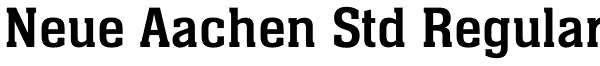 Neue Aachen Std Regular Font