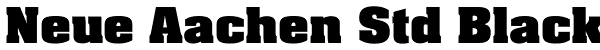 Neue Aachen Std Black Font