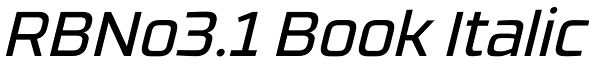RBNo3.1 Book Italic Font