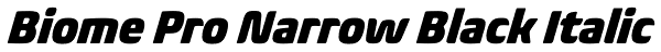 Biome Pro Narrow Black Italic Font