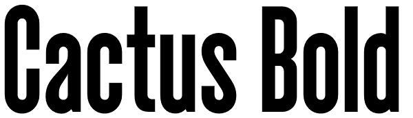 Cactus Bold Font