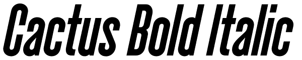 Cactus Bold Italic Font