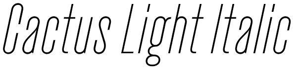 Cactus Light Italic Font