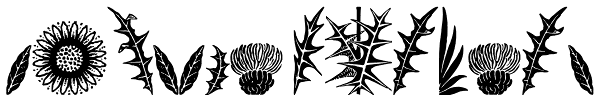 Thistle Borders Font