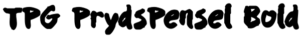 TPG PrydsPensel Bold Font