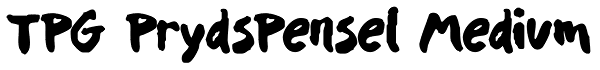 TPG PrydsPensel Medium Font