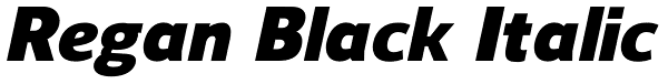 Regan Black Italic Font