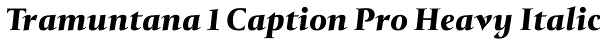 Tramuntana 1 Caption Pro Heavy Italic Font