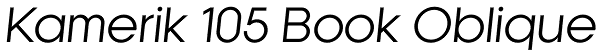 Kamerik 105 Book Oblique Font