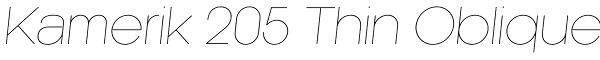 Kamerik 205 Thin Oblique Font