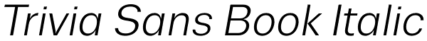 Trivia Sans Book Italic Font
